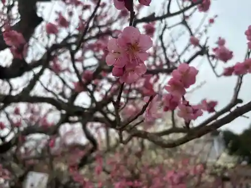 岩津天満宮の自然
