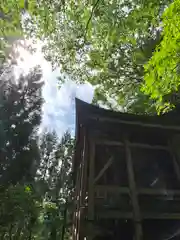 小菅神社奥社(長野県)