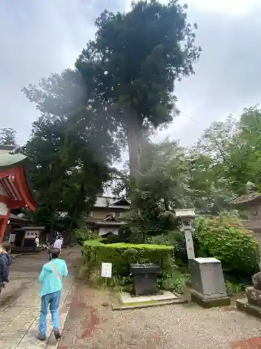 香取神宮(千葉県)