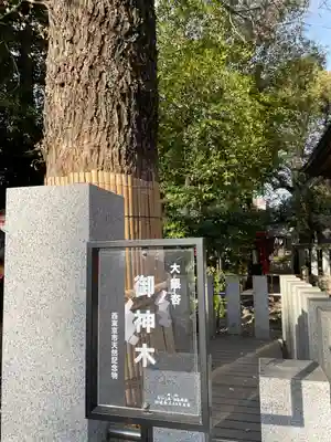 田無神社(東京都)