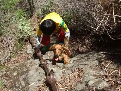 蔵王権現社(高知県)