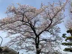 浄流寺の自然