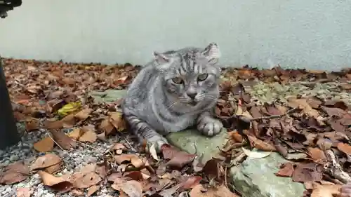 妙見神社(徳島県)