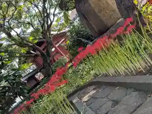 法栄寺の景色(2025年09月29日(月) 15時12分59秒投稿)