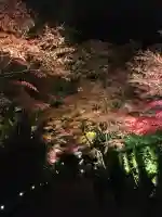 中尊寺(岩手県)