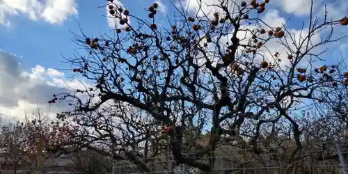（中）天満神社(京都府)
