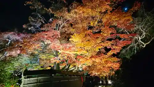 宝厳院(京都府)