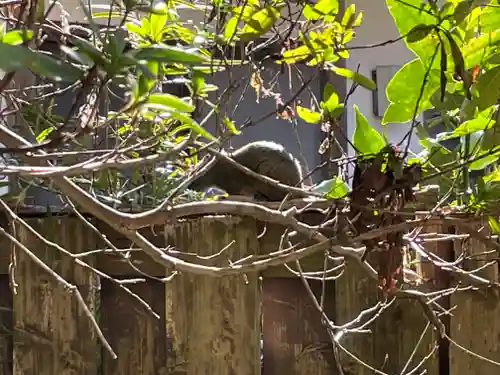 光則寺(神奈川県)