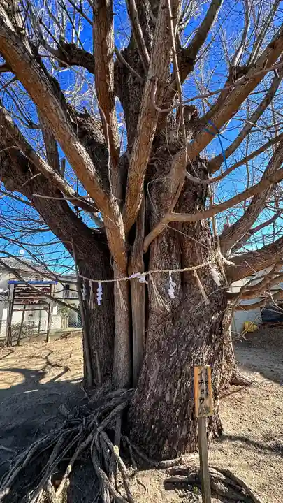 八大龍王辨財天(京都府)