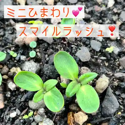 鹿島台神社(宮城県)