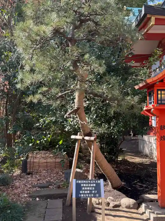 芝東照宮の{uncategorized: "未分類", other: "その他", undefined: "問題あり", building: "その他建物", grave: "お墓", sacred_gate: "鳥居", guardian: "狛犬", statue: "像", buddha: "仏像", history: "歴史", nature: "自然", garden: "庭園", animal: "動物", pagoda: "塔", temizu: "手水舎", mountain_gate: "山門・神門", sanctuary: "本殿・本堂", subordinate: "末社・摂社", art: "芸術", scenery: "景色", jizo: "地蔵", ema: "絵馬", goshuin: "御朱印", omikuji: "おみくじ", items: "授与品その他", amulet: "お守り", goshuincho: "御朱印帳", eats: "食事", festival: "お祭り", votive_dance: "神楽", shichigosan: "七五三参", wedding: "結婚式", experience: "体験その他", initially: "初詣", around: "周辺", anti_infection: "感染症対策"}