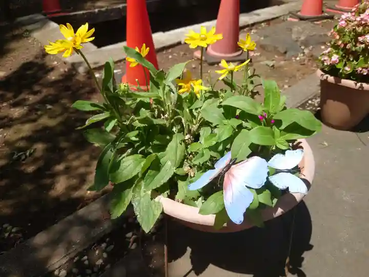 馬場氷川神社(埼玉県)