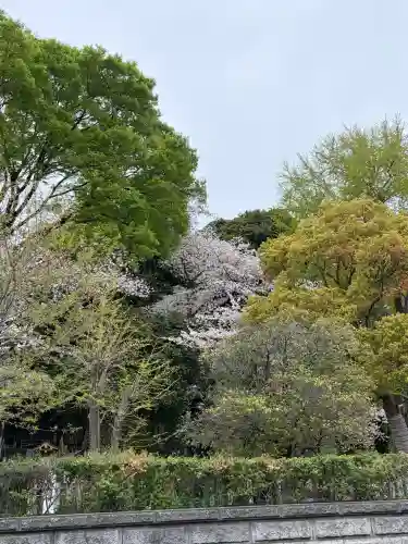 瀧泉寺（目黒不動尊）の{uncategorized: "未分類", other: "その他", undefined: "問題あり", building: "その他建物", grave: "お墓", sacred_gate: "鳥居", guardian: "狛犬", statue: "像", buddha: "仏像", history: "歴史", nature: "自然", garden: "庭園", animal: "動物", pagoda: "塔", temizu: "手水舎", mountain_gate: "山門・神門", sanctuary: "本殿・本堂", subordinate: "末社・摂社", art: "芸術", scenery: "景色", jizo: "地蔵", ema: "絵馬", goshuin: "御朱印", omikuji: "おみくじ", items: "授与品その他", amulet: "お守り", goshuincho: "御朱印帳", eats: "食事", festival: "お祭り", votive_dance: "神楽", shichigosan: "七五三参", wedding: "結婚式", experience: "体験その他", initially: "初詣", around: "周辺", anti_infection: "感染症対策"}