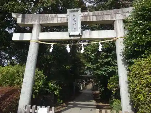 御霊神社の鳥居