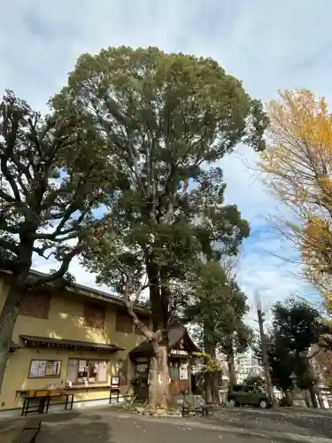 中目黒八幡神社(東京都)