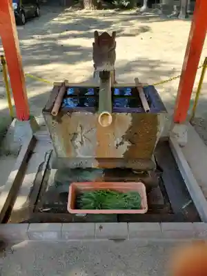 開運招福 飯玉神社(群馬県)