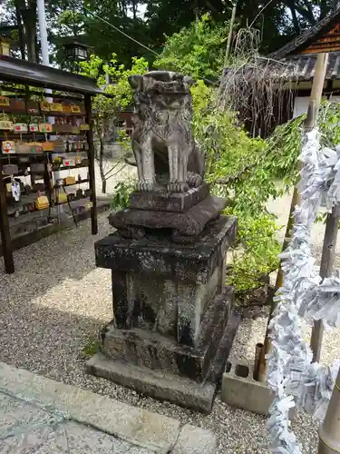 郡山八幡神社の狛犬