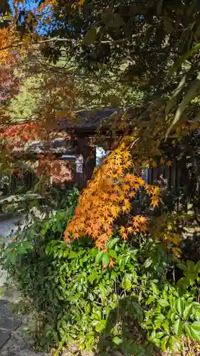宇治上神社の山門・神門