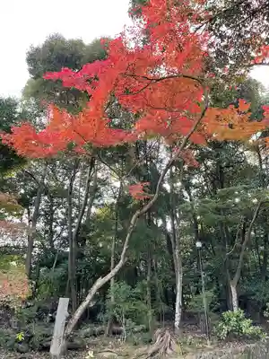 石上神宮のその他建物