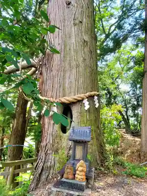 阿久津「田村神社」（郡山市阿久津町）旧社名：伊豆箱根三嶋三社(福島県)