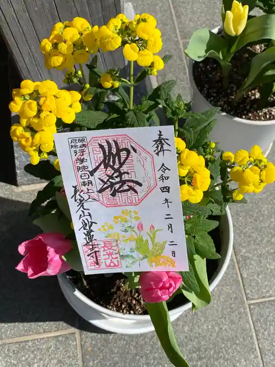 妙蓮寺の御朱印