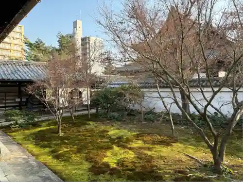 興聖寺(京都府)