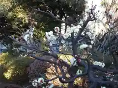 正福寺(神奈川県)