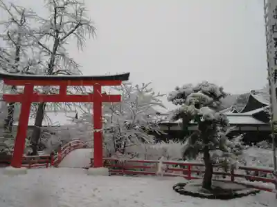 賀茂御祖神社(下鴨神社)の鳥居