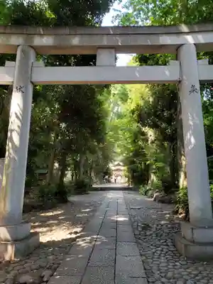 代々木八幡宮の鳥居