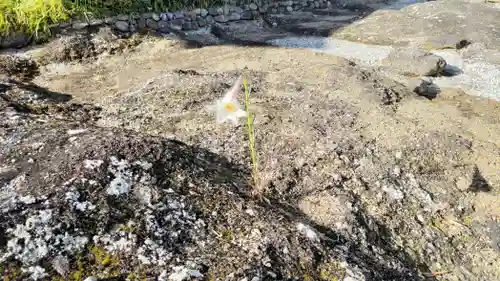 龍石寺(埼玉県)