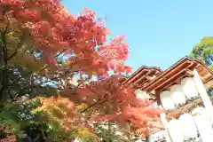 伊勢山皇大神宮の自然