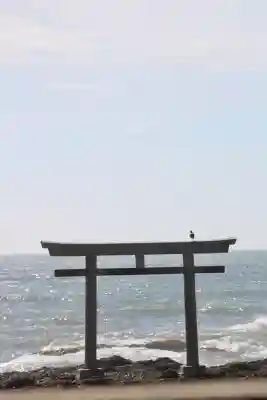 大洗磯前神社の{uncategorized: "未分類", other: "その他", undefined: "問題あり", building: "その他建物", grave: "お墓", sacred_gate: "鳥居", guardian: "狛犬", statue: "像", buddha: "仏像", history: "歴史", nature: "自然", garden: "庭園", animal: "動物", pagoda: "塔", temizu: "手水舎", mountain_gate: "山門・神門", sanctuary: "本殿・本堂", subordinate: "末社・摂社", art: "芸術", scenery: "景色", jizo: "地蔵", ema: "絵馬", goshuin: "御朱印", omikuji: "おみくじ", items: "授与品その他", amulet: "お守り", goshuincho: "御朱印帳", eats: "食事", festival: "お祭り", votive_dance: "神楽", shichigosan: "七五三参", wedding: "結婚式", experience: "体験その他", initially: "初詣", around: "周辺", anti_infection: "感染症対策"}