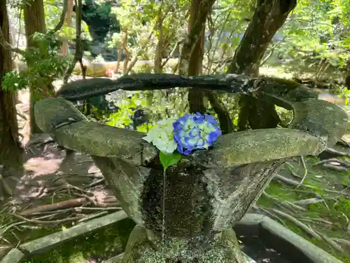 法然院(京都府)