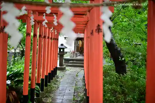 若宮八幡宮 の鳥居