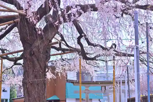 栗谷須賀神社(神奈川県)
