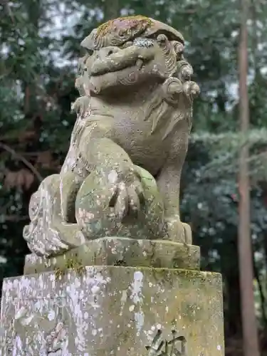 浅間神社の狛犬