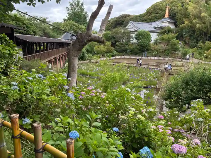 本土寺(千葉県)