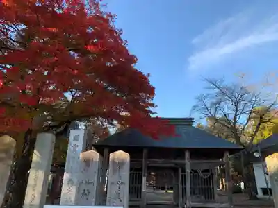 勝常寺の山門・神門