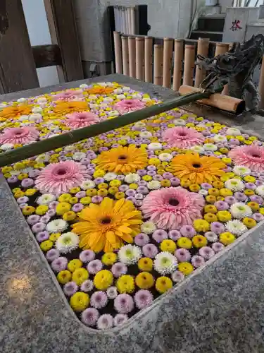 高円寺氷川神社(東京都)