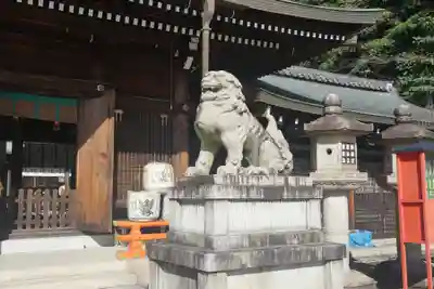 京都霊山護國神社の狛犬