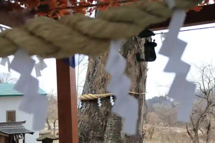 阿久津「田村神社」(郡山市阿久津町)旧社名:伊豆箱根三嶋三社のその他建物