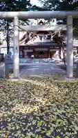 新琴似神社の鳥居