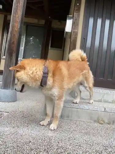 普賢寺(福島県)