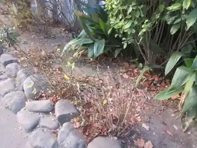 太田姫稲荷神社(東京都)