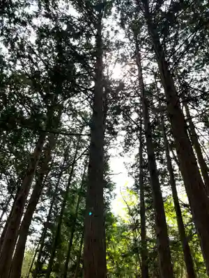 諏訪神社(山梨県)