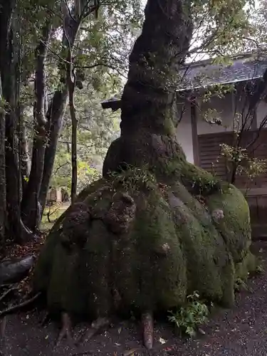 伊雜宮（皇大神宮別宮）(三重県)