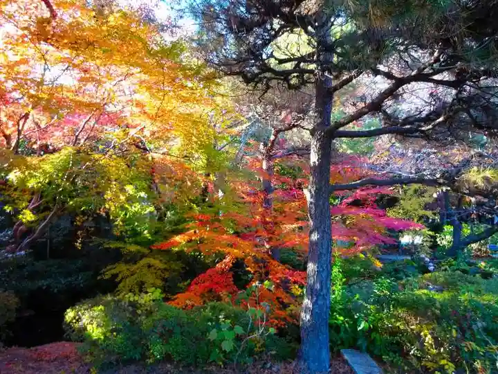 舎那院(滋賀県)