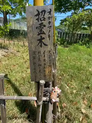 大浦神社の{uncategorized: "未分類", other: "その他", undefined: "問題あり", building: "その他建物", grave: "お墓", sacred_gate: "鳥居", guardian: "狛犬", statue: "像", buddha: "仏像", history: "歴史", nature: "自然", garden: "庭園", animal: "動物", pagoda: "塔", temizu: "手水舎", mountain_gate: "山門・神門", sanctuary: "本殿・本堂", subordinate: "末社・摂社", art: "芸術", scenery: "景色", jizo: "地蔵", ema: "絵馬", goshuin: "御朱印", omikuji: "おみくじ", items: "授与品その他", amulet: "お守り", goshuincho: "御朱印帳", eats: "食事", festival: "お祭り", votive_dance: "神楽", shichigosan: "七五三参", wedding: "結婚式", experience: "体験その他", initially: "初詣", around: "周辺", anti_infection: "感染症対策"}