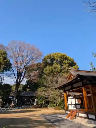 阿佐ヶ谷神明宮(東京都)