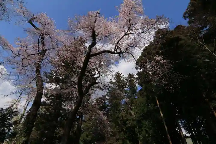 神炊館神社 ⁂奥州須賀川総鎮守⁂の自然